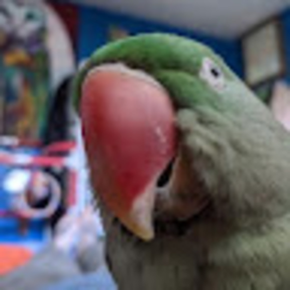 Meet your Posher, Shiny - Picture 1 of 1